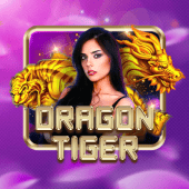 Dragon Tiger at Fair Play Casino
