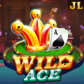 Wild Ace at Fair Play Casino